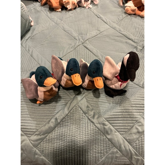 Beanie Babies Bird Lot (26 total) - Picture 7 of 8